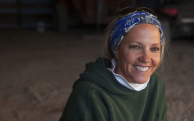 Mimi Hillenbrand – They’re Hard on Fences